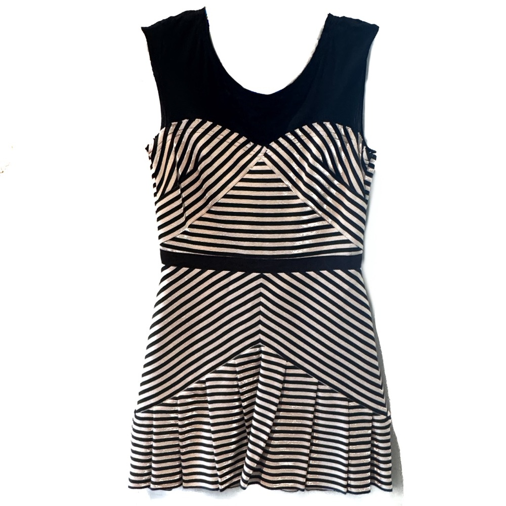 Elizabeth and James Angle Striped Vanessa Pleated Ruffle Mini Dress